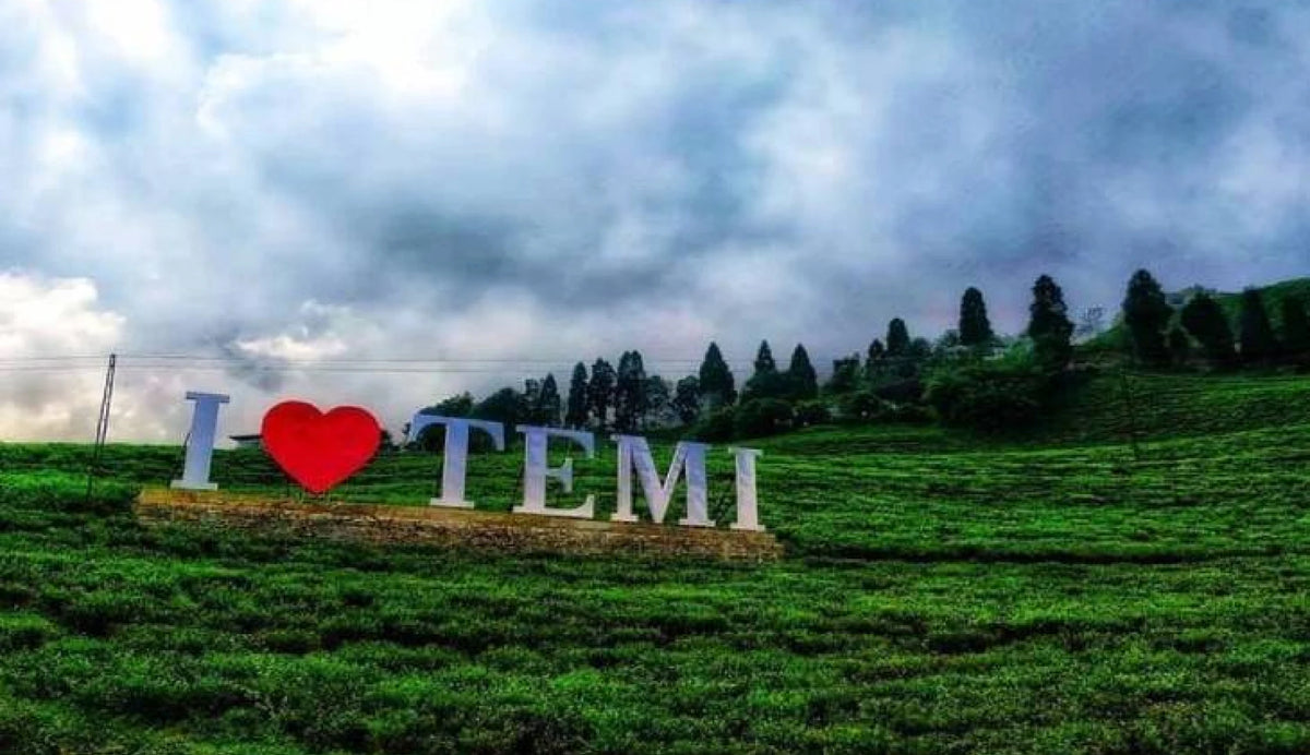Temi Tea Garden