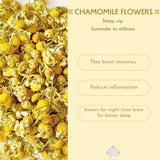 The Leaf Chap Floral & Tisane Sampler Kit — 6 Caffeine-Free Blends