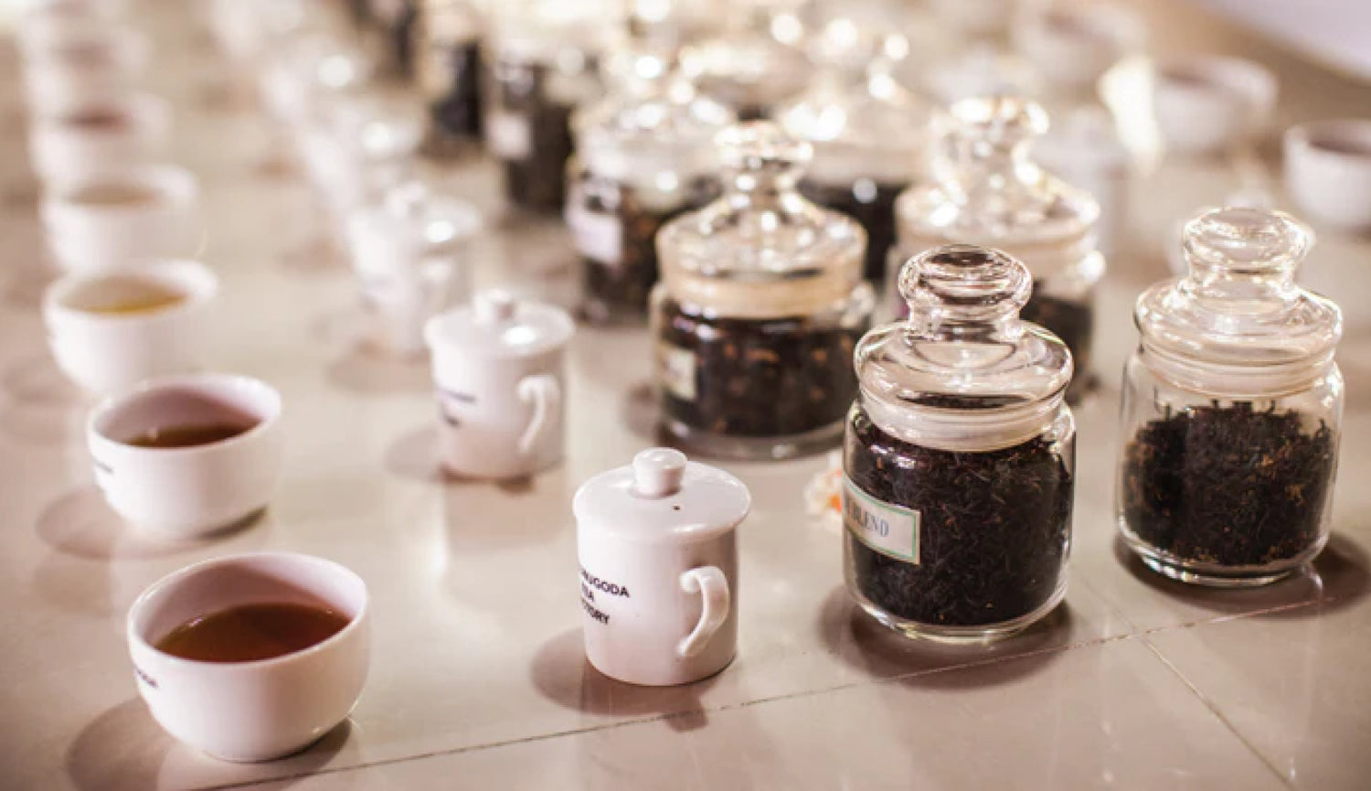 Udyan Tea from Darjeeling