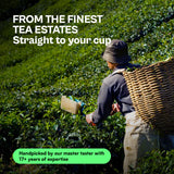 Udyan Tea Himalayan Mist Green Tea – First Flush Harvested from Himalayan Small Tea Growers