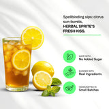 Udyan Tea Lemon Tango Iced Black Tea with Lemon, Turmeric and Refreshing Herbs