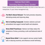 Valerian Root Calm