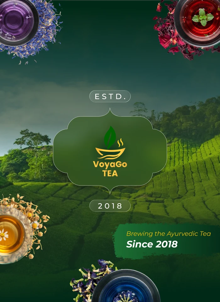 VoyaGo Mobile Banner