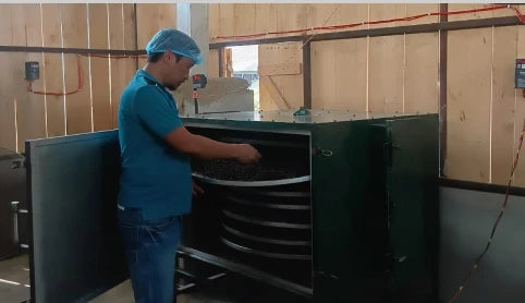 VoyaGo Tea Processing
