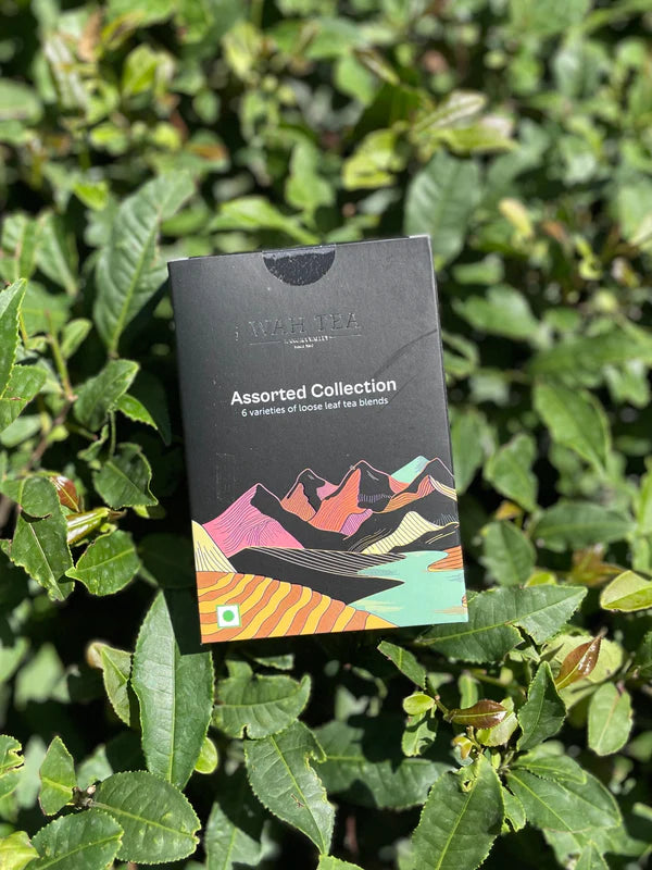 Wah Tea Assorted Gift Box with Premium 6-Tea Collection