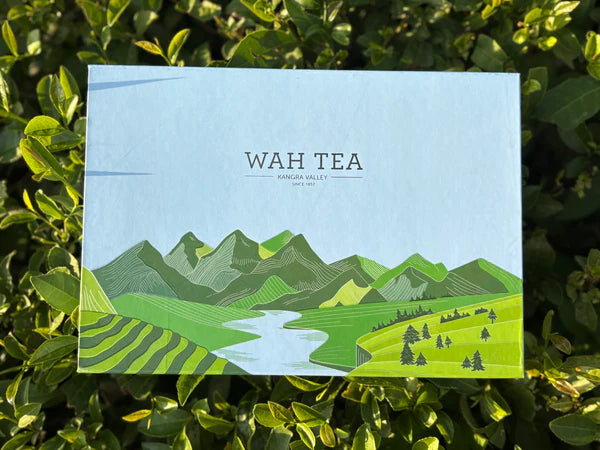 Wah Tea Premium Collection Gift Pack