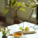 House of Tumsong Darjeeling Organic Silver Tips Rare White Tea - Made From Tender Buds