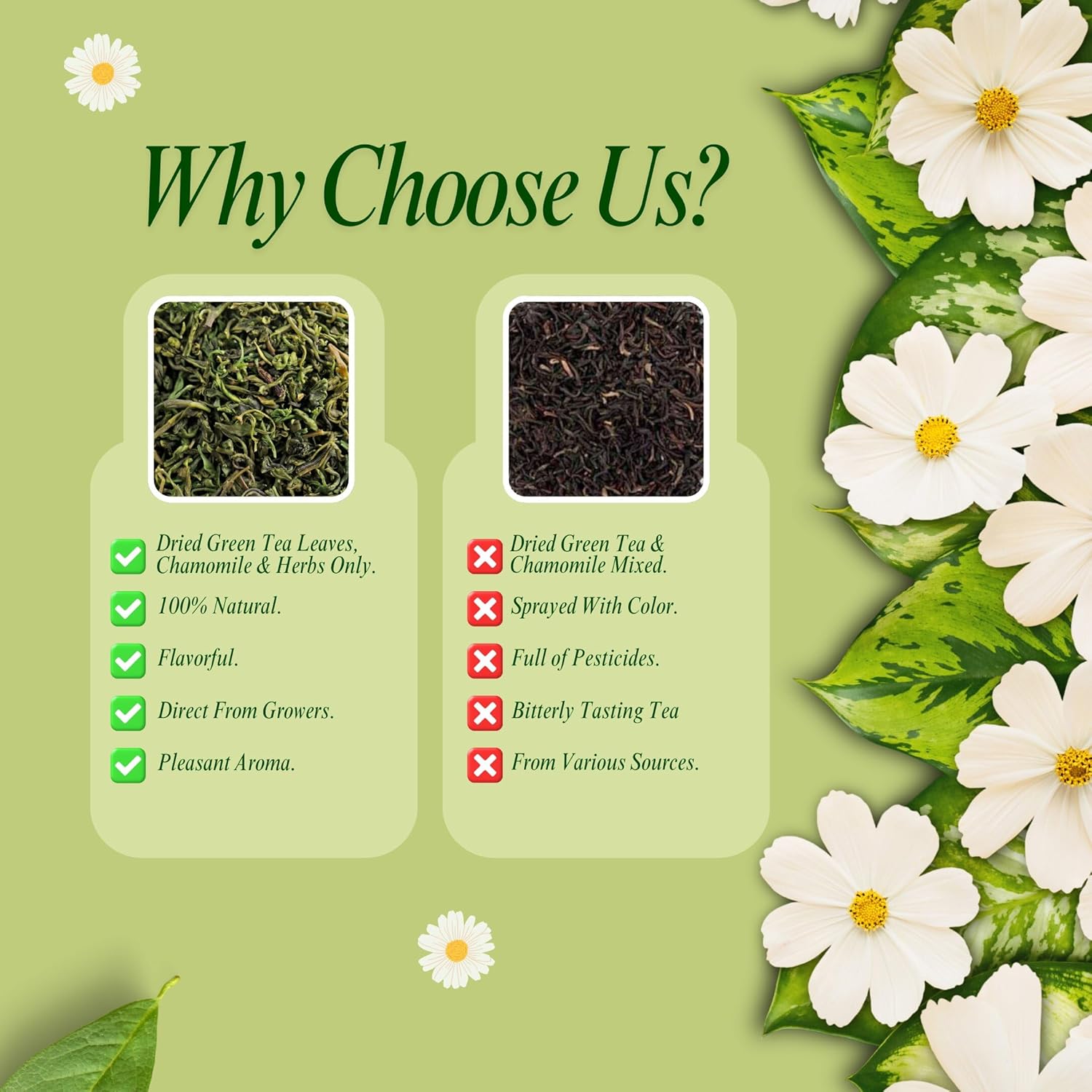 Why Choose BrewTales Goddess's Gift Organic Green Tea Blend