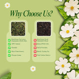 Why Choose BrewTales Goddess's Gift Organic Green Tea Blend