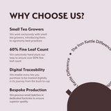 Why Choose Iron Kettle