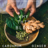 Wilding Betel Leaf Cardamom Ginger Herbal Infusion For Fragrant Walks Through Spice Gardens