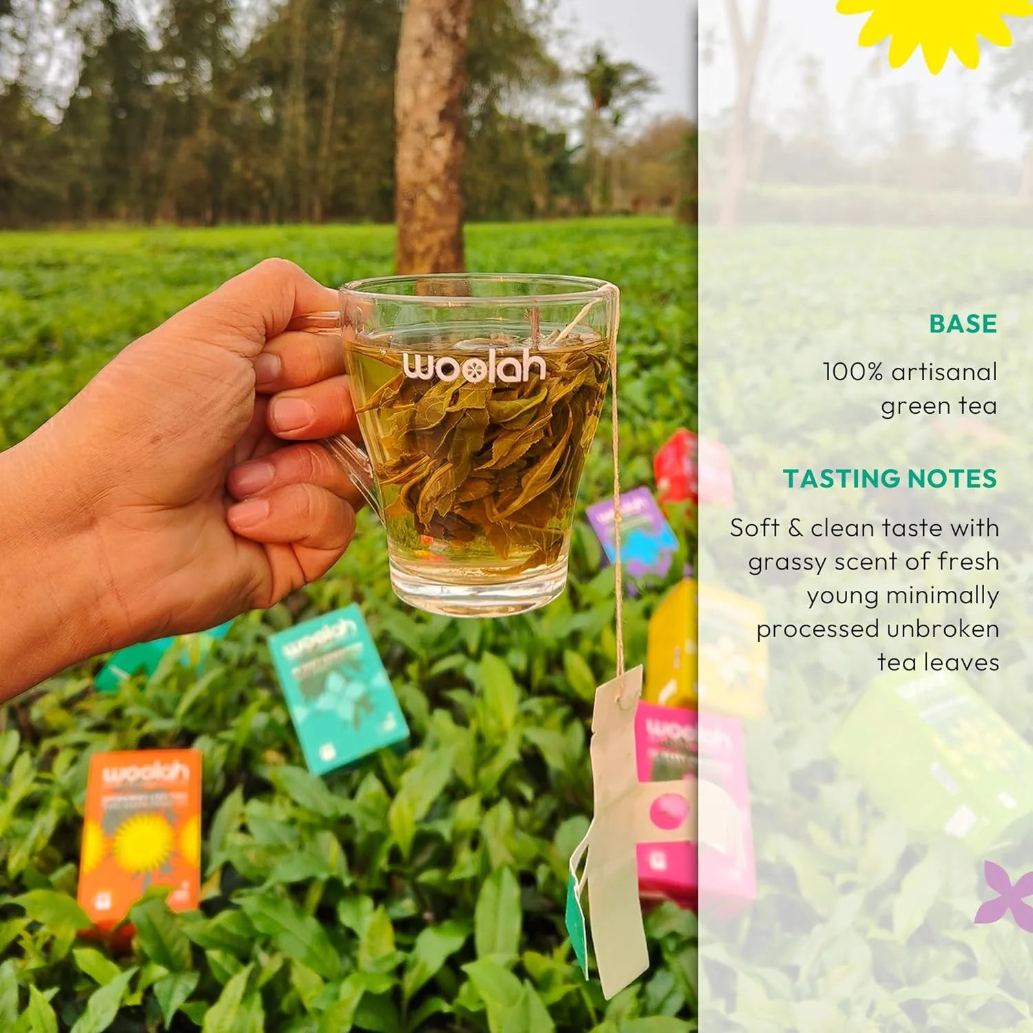 Woolah Organic Rare Assam Authentic Green Tea