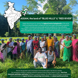 Woolah Organic Rare Assam Green Tea with Arjuna and Cinnamon for a Happy Heart- World's First Patented Bagless Dips - Crafted by 200+ Women from Rural Assam