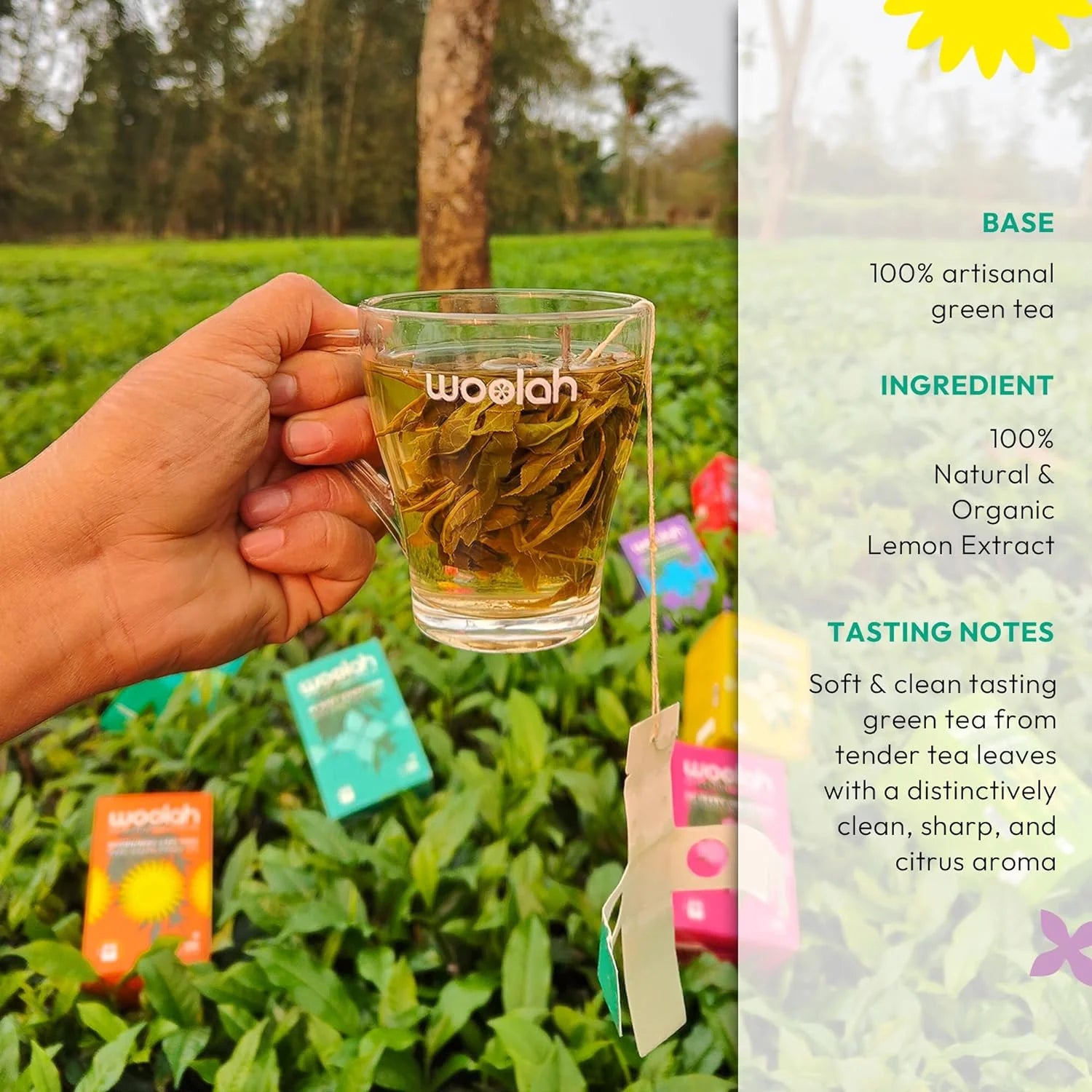 Woolah Organic Assam Lemon Green Tea with Bagless Dips