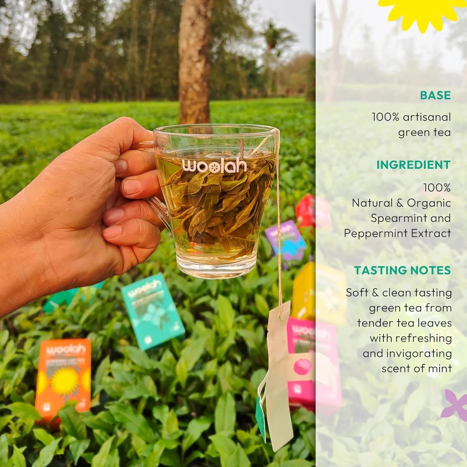 Woolah Organic Green Tea Bagless Dips with Mint