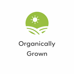 Certification Image 1