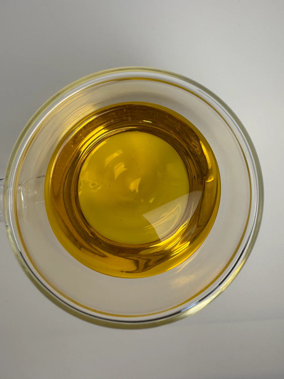 Xah Handcrafted Nilgiri Green Tea from Small Tea Growers