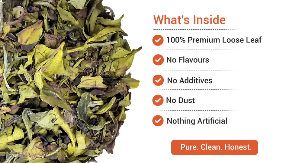 Xah Handcrafted Nilgiri Premium Loose Leaf White Tea