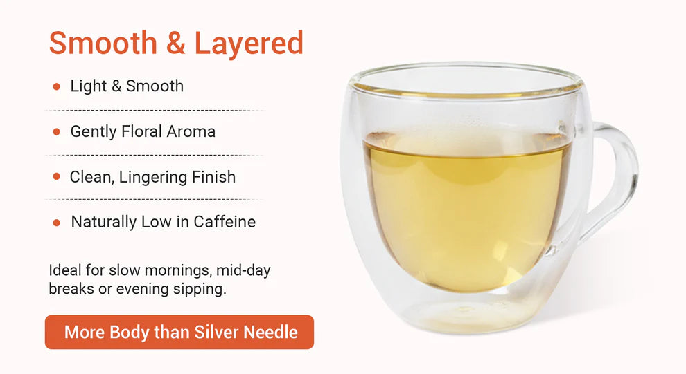 Xah Handcrafted Nilgiri White Tea- Smooth and Layered