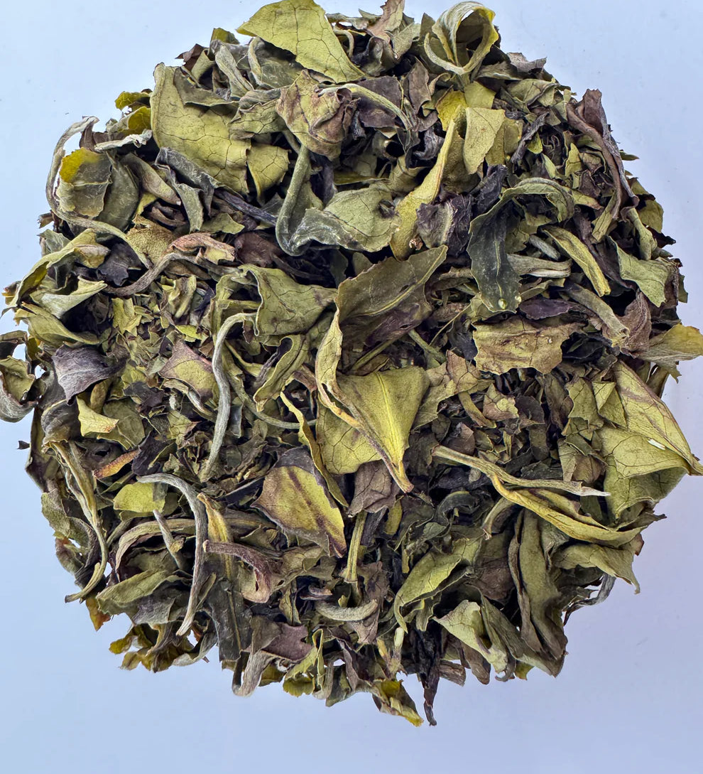 Xah Nilgiri White Tea Leaves