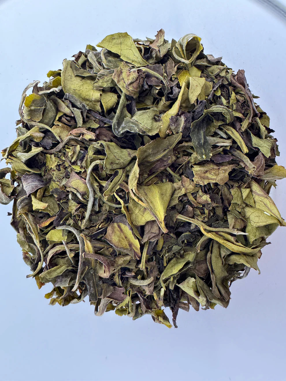 Xah Nilgiri White Tea Leaves