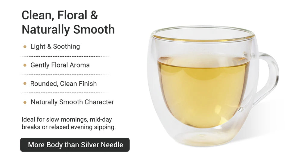 Xah Premium Green Tea with Chamomile and Turmeric