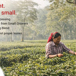 Xah Small Batch Nilgiri Oolong Tea