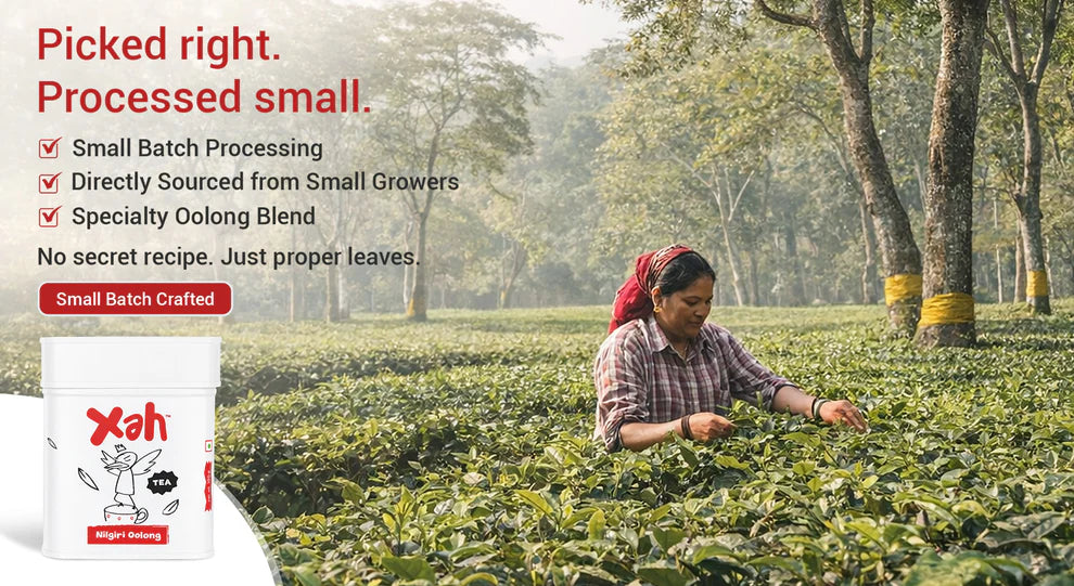 Xah Small Batch Nilgiri Oolong Tea