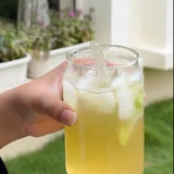 Xah Handcrafted Nilgiri Green Tea – Sourced from Small Tea Growers