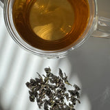 Xah Handcrafted Nilgiri Green Tea – Sourced from Small Tea Growers