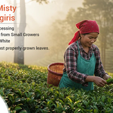 Xah Handcrafted Nilgiri White Tea –  Sourced from Small Tea Growers