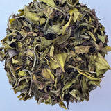 Xah Handcrafted Nilgiri White Tea –  Sourced from Small Tea Growers