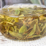Handrolled Spring Beauty Tea Leaves Steeping in a Glass Teapot