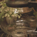 Barnaa Lagoon Tea